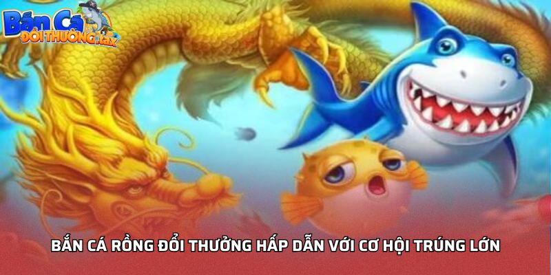 Bắn cá rồng đổi thưởng hấp dẫn với cơ hội trúng lớn