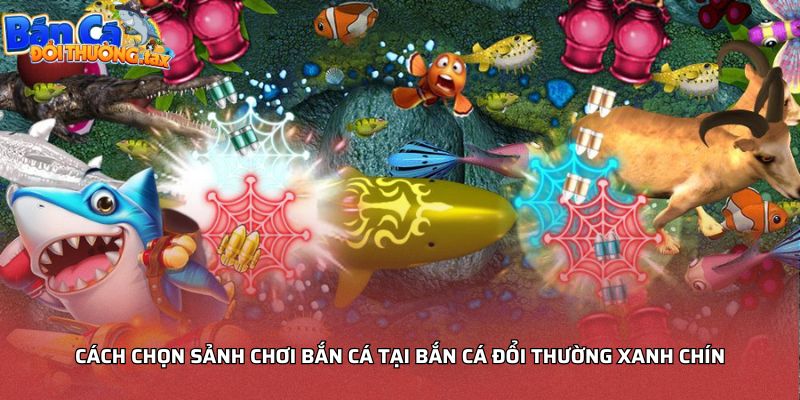 Cách chọn sảnh chơi bắn cá