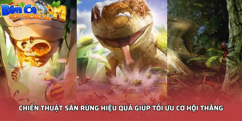 Chiến thuật săn rừng hiệu quả giúp tối ưu cơ hội thắng