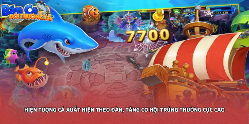 Hiện tượng cá xuất hiện theo đàn, tăng cơ hội trúng thưởng cực cao