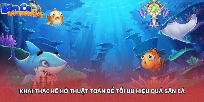 Khai thác kẽ hở thuật toán để tối ưu hiệu quả săn cá