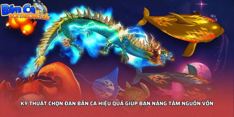 Kỹ thuật chọn đạn bắn cá hiệu quả giúp bạn nâng tầm nguồn vốn