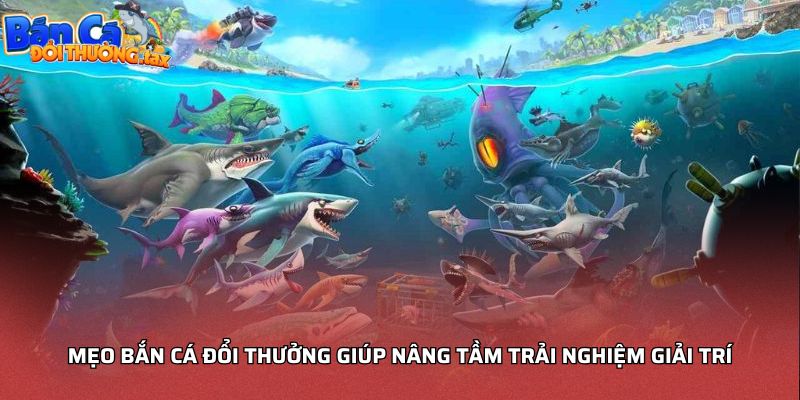 Mẹo bắn cá đổi thưởng giúp nâng tầm trải nghiệm giải trí