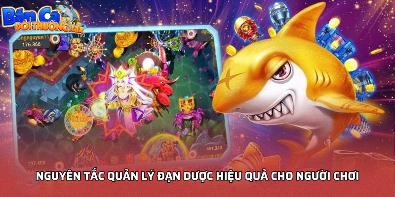 Nguyên tắc quản lý đạn dược hiệu quả cho người chơi