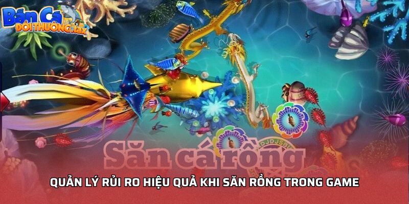 Quản lý rủi ro hiệu quả khi săn Rồng trong game