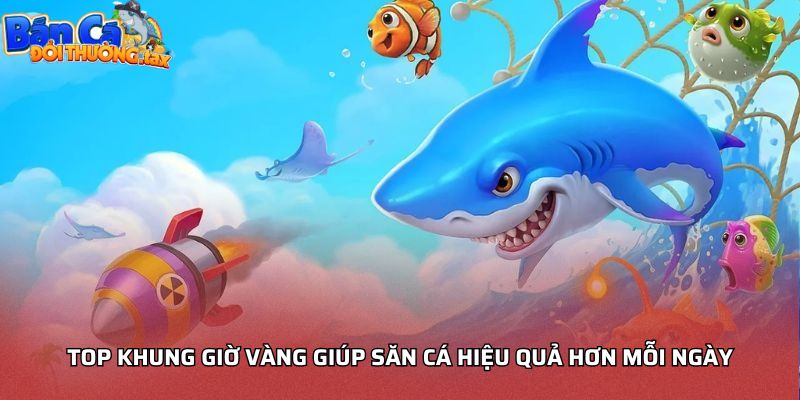 Top khung giờ vàng giúp săn cá hiệu quả hơn mỗi ngày