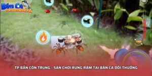 TP Bắn Côn Trùng